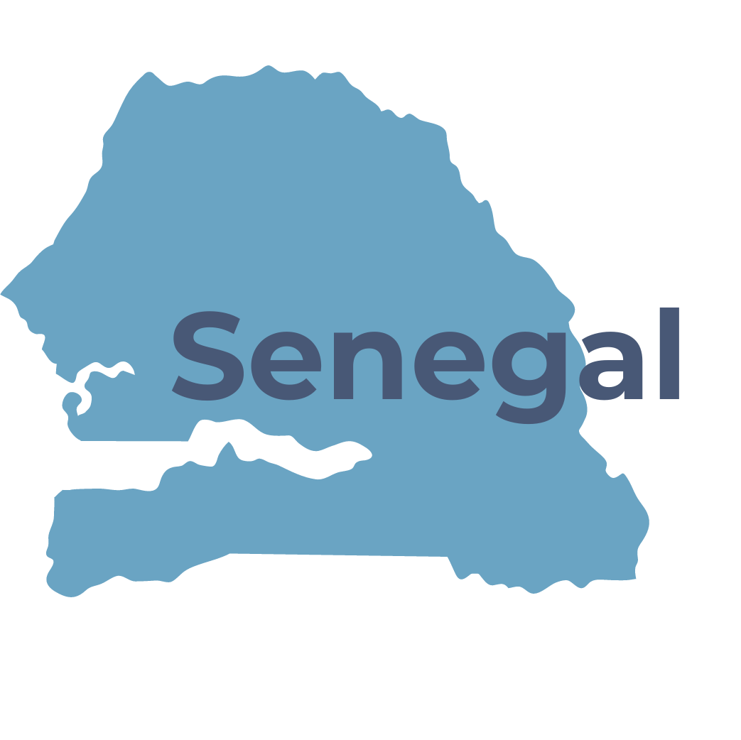 Chiesi Foundation - Senegal